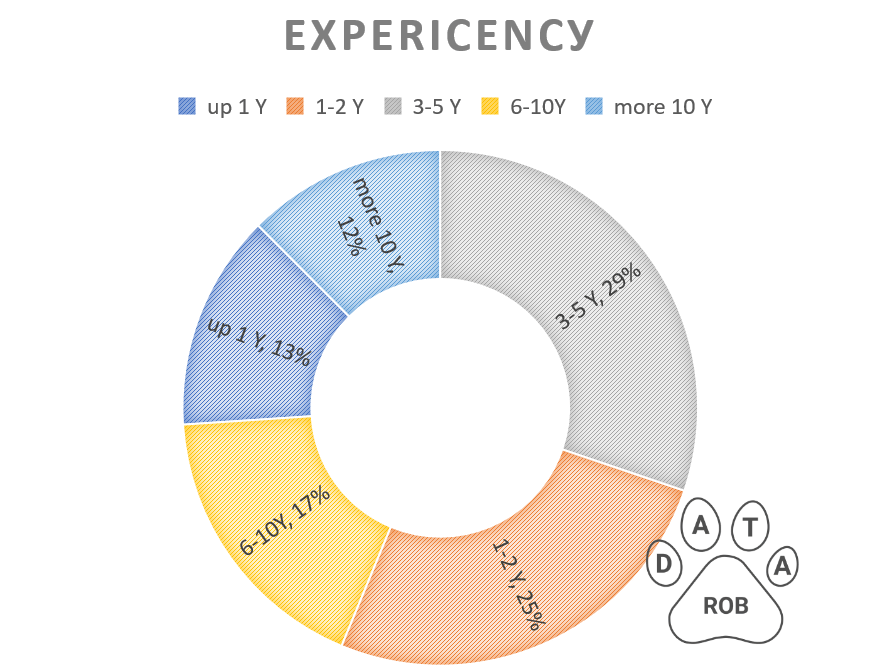 expirience years of ukranian IT developer datarob