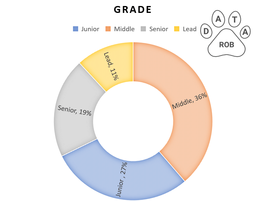 grade and titles of ukranian IT developer datarob